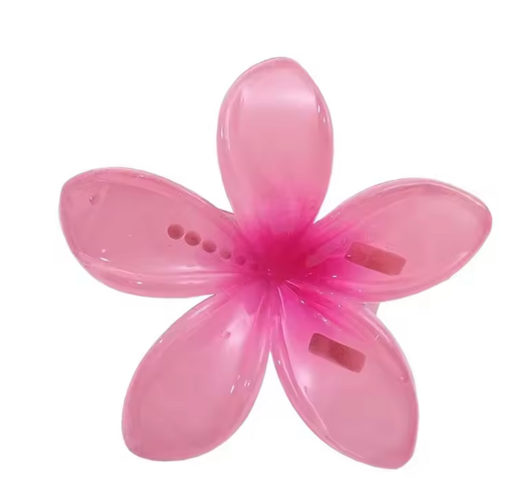 Hair clip 🌺